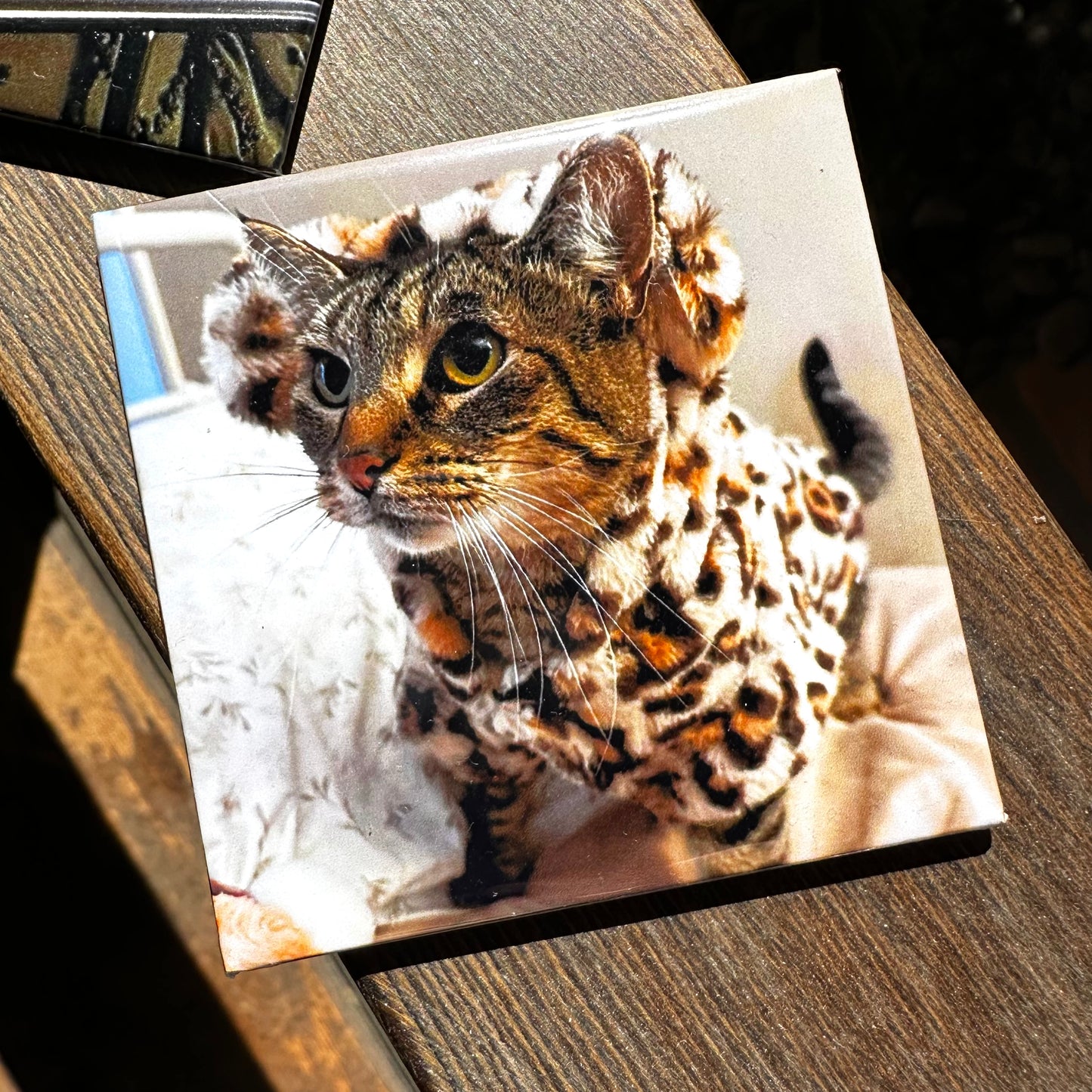 Custom Square Photo Magnets 2.5"x2.5" (63.5x63.5mm)