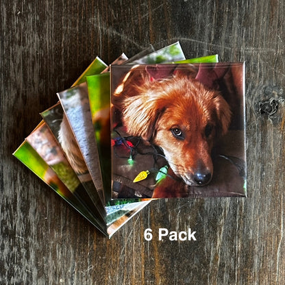 Custom Square Photo Magnets 2.5"x2.5" (63.5x63.5mm)
