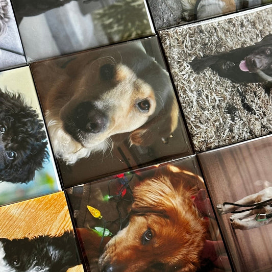 Custom Square Photo Magnets 2.5"x2.5" Bulk Orders 25+