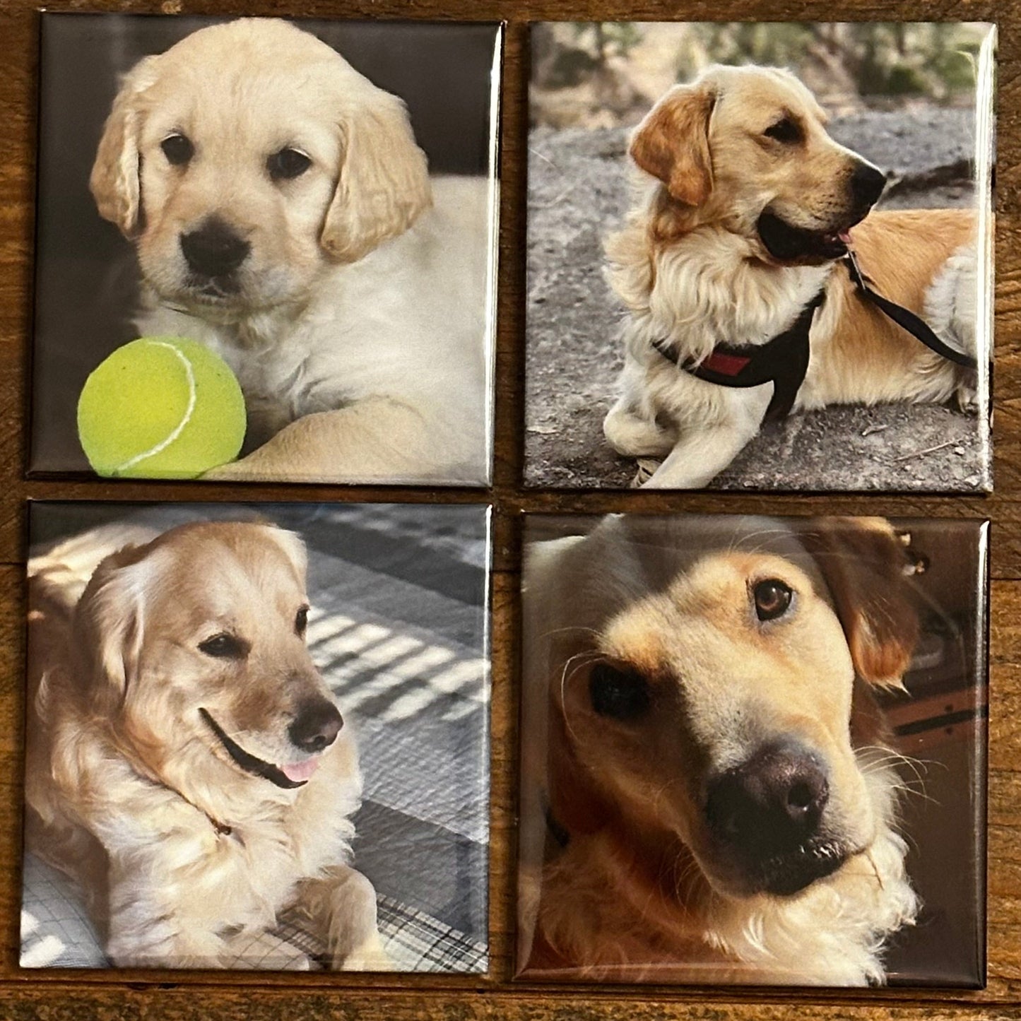 2.5x2.5 Custom Photo Magnets