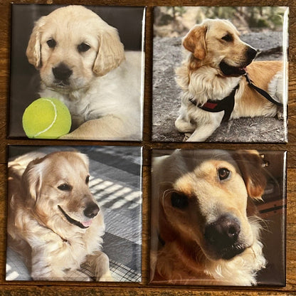 2.5x2.5 Custom Photo Magnets