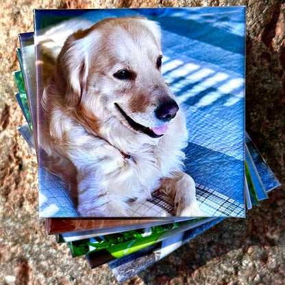 2.5x2.5 Custom Photo Magnets